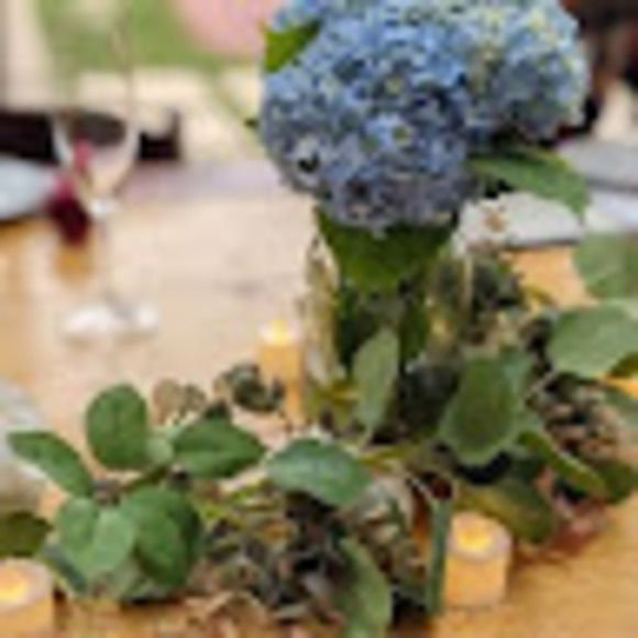 Meet your Posher, Stephanie - Picture 1 of 1